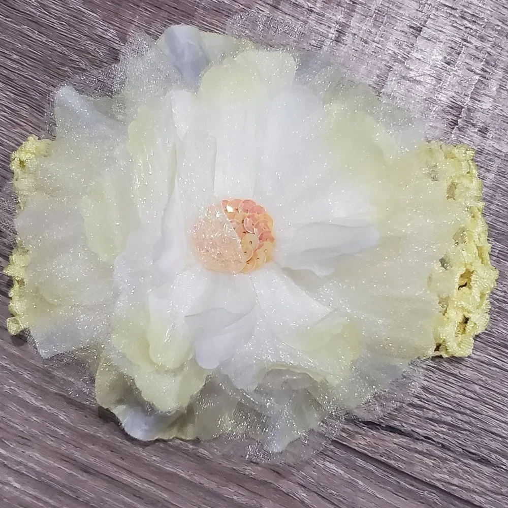 NWT Baby girl hair accessories bundle